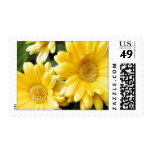 Yellow daisy gerbera Postage