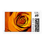 Yellow Rose U.S. Postage Stamp
